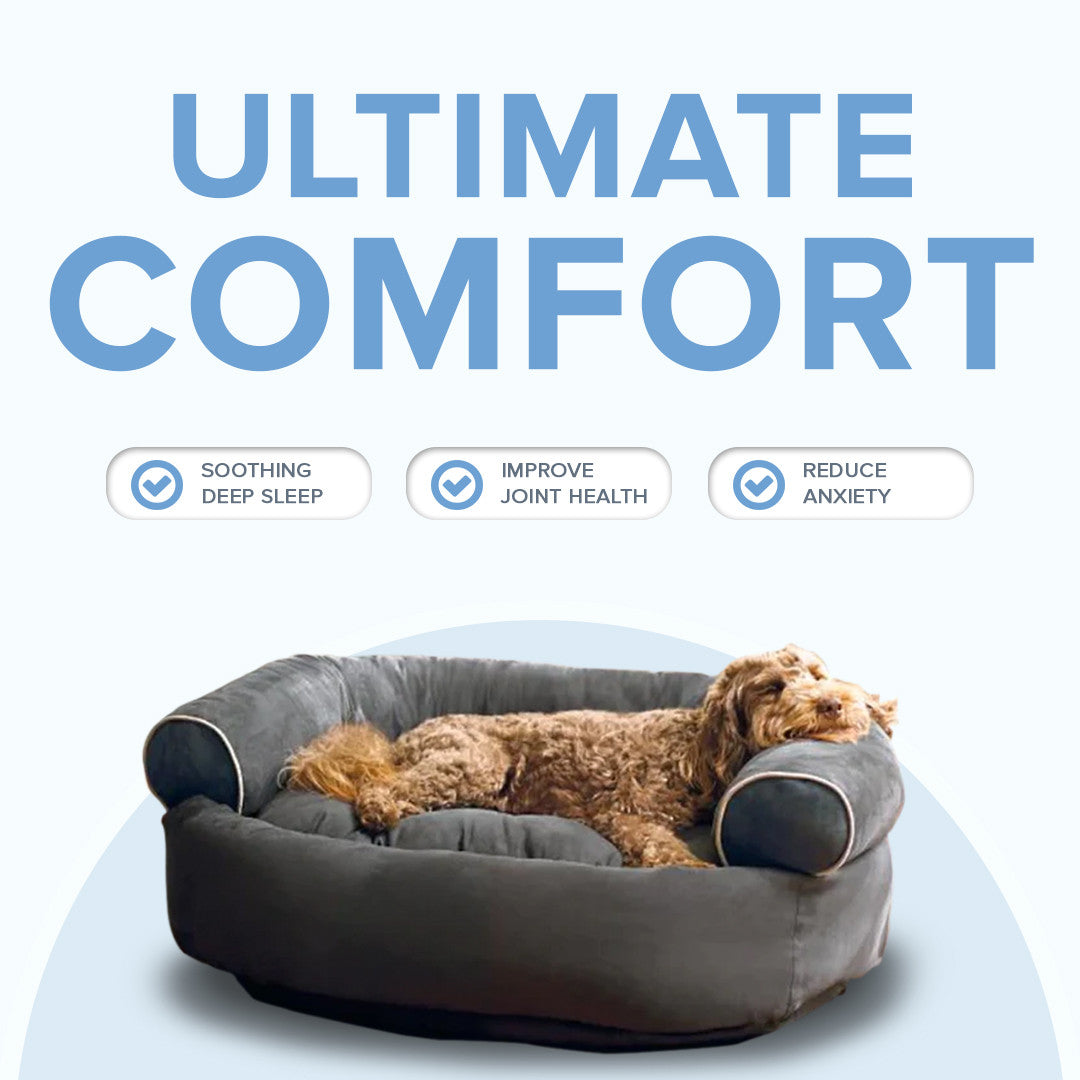 PupsDream: Calming Dog Beds | Pet Accessories